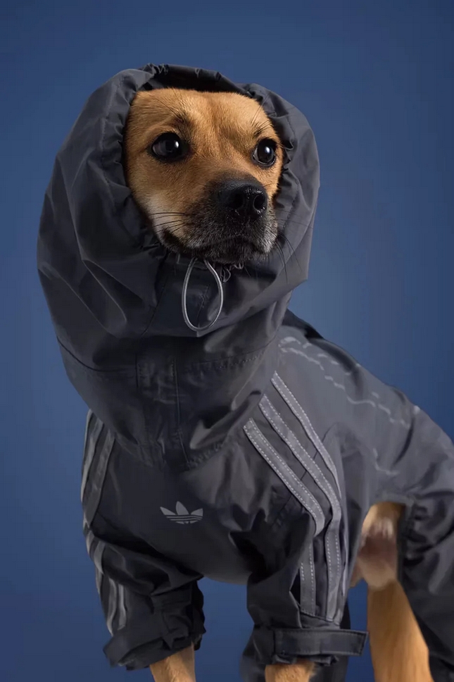 adidas originals mascotas 01