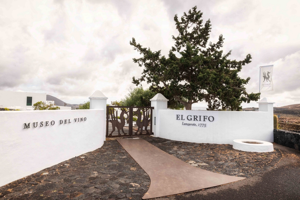 El Grifo: 250 años haciendo vino entre lava, tradición y futuro — ahora también con premio a la Excelencia Turística