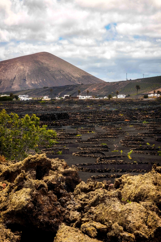 el grifo lanzarote 56