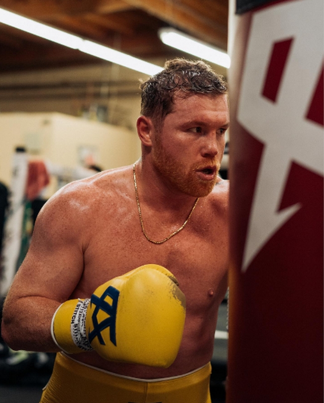 canelo amiri 1
