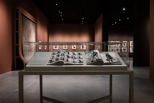 irving penn a coruña 02